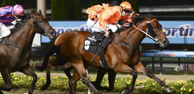 Taxi Driver - Moonee Valley - 15/03/2013